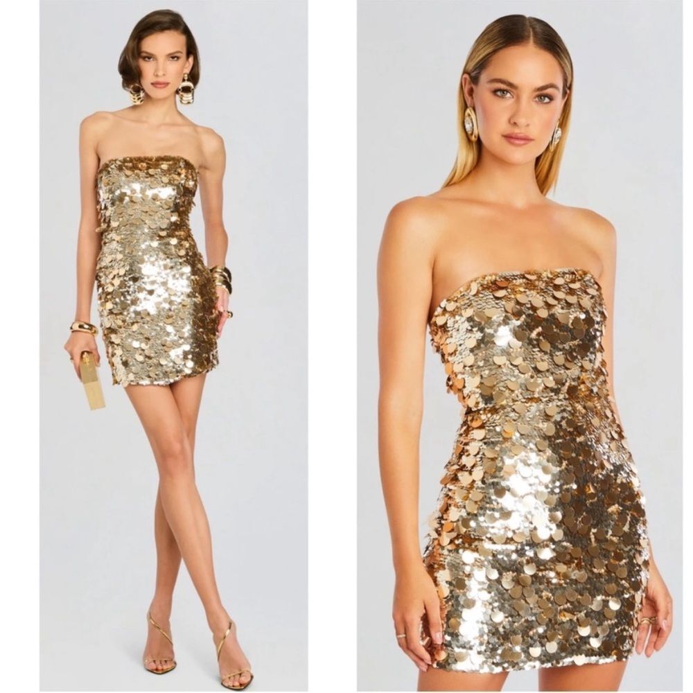 Retrofete Nolia Sequin Embellished Dress Champagne Dust size XXS NWT